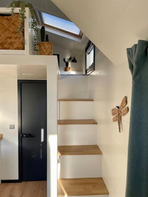 Tiny House With Sauna & Jacuzzi Near Amsterdam Vijfhuizen Kültér fotó