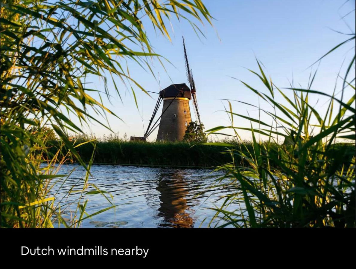Tiny House With Sauna & Jacuzzi Near Amsterdam Vijfhuizen Kültér fotó